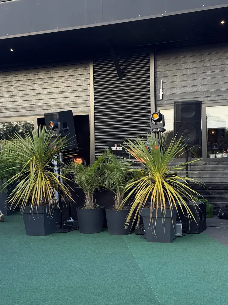 Terrasse entre les palmiers — Lyres et enceintes, installation complète