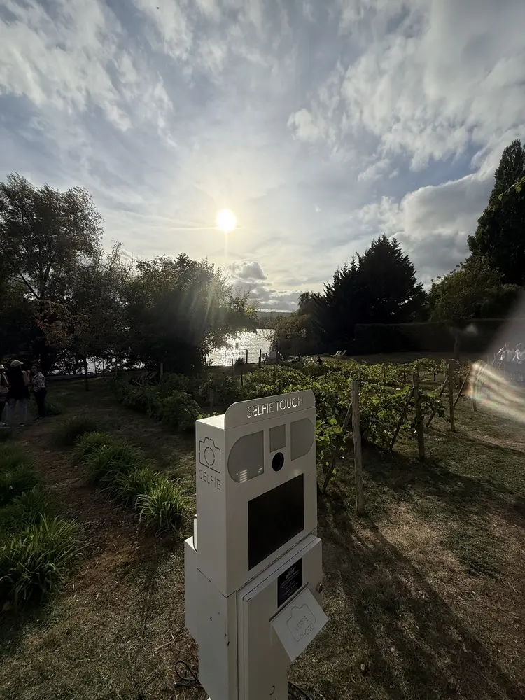 Borne au milieu des vignes — Installée en extérieur